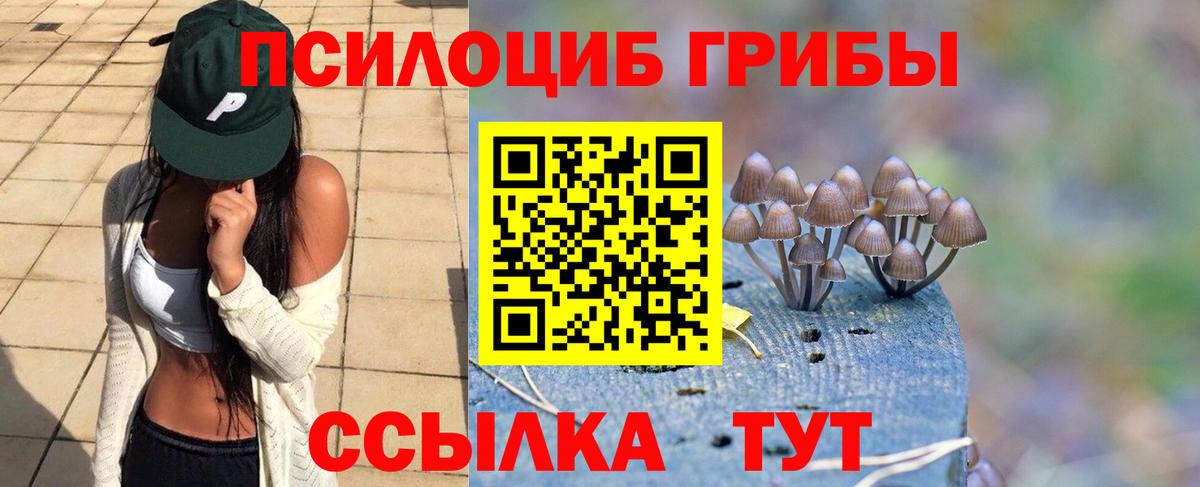 цена наркотик  Галлюциногенные грибы мухоморы  Вход с VPN  Казань 
